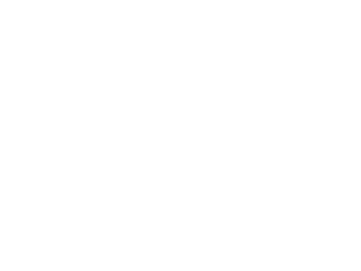 Hardware Mag Tape Storage Server Racks Removable Hard Drives Auto Loaders/Tape Back Up NAS-Net Work Attached Storage CD/DVD Duplicator and Replication USB/Flash Custom printed